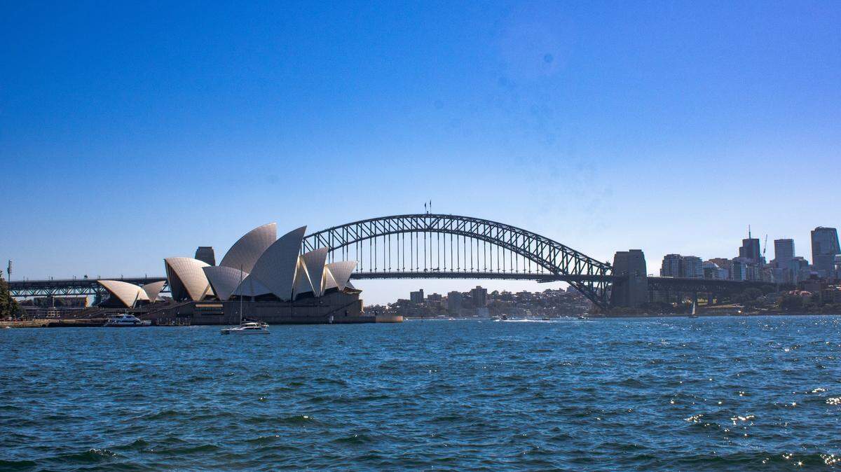 A young humpback whale recently made a “rare” appearance in Australia’s Sydney Harbour, disrupting vessel traffic.