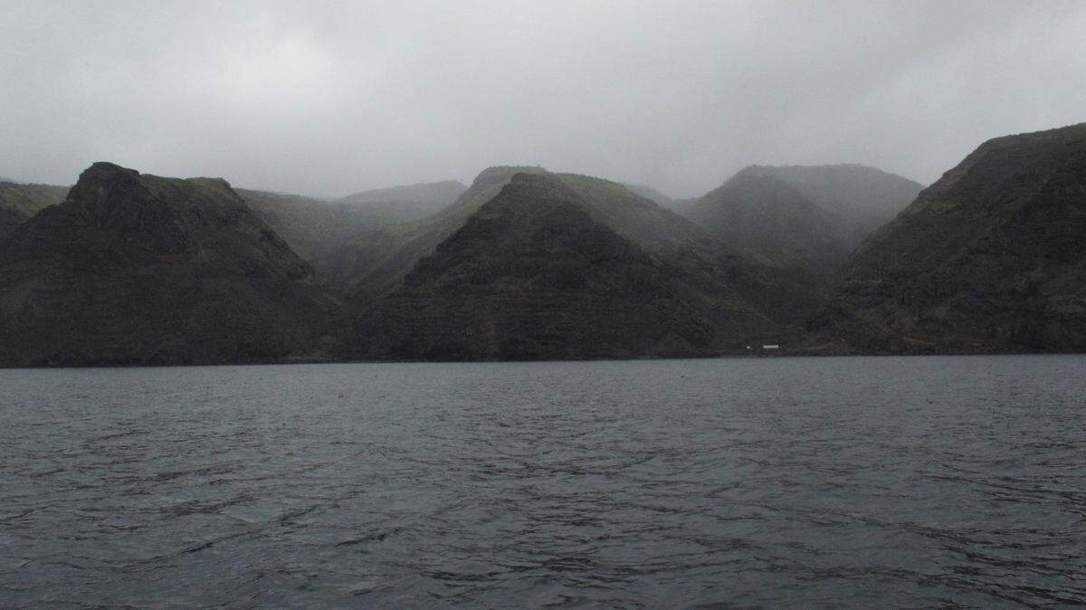 Two new species of pirate spiders were recently discovered on the remote island of St. Helena, according to a new study.