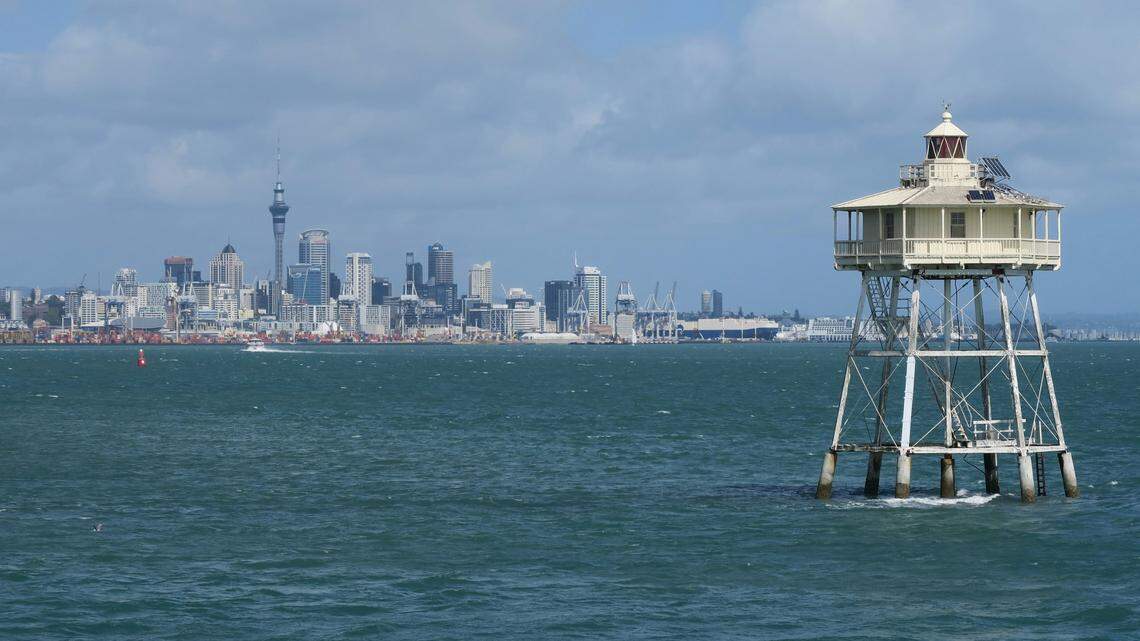 Boaters spotted pilot whales off of Auckland, New Zealand, for the first time in decades, photos show.
