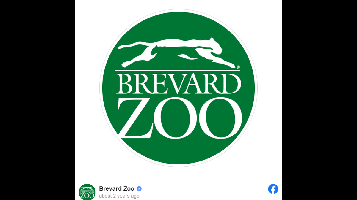 The baby twins have so far been healthy following their birth, a Florida zoo said.