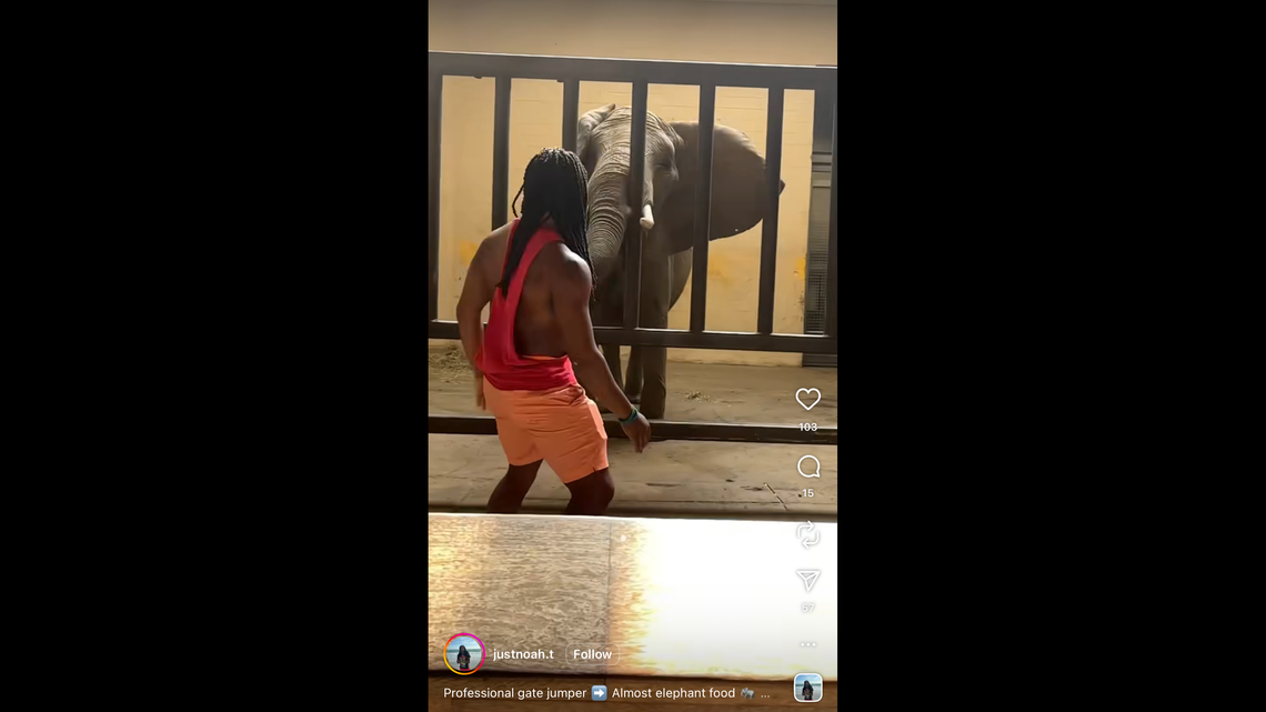 Noah Thomas, 19, of Austintown, Ohio, faces three felony charges after a video shows him jumping into an elephant enclosure at the Pittsburgh Zoo, according to court records.