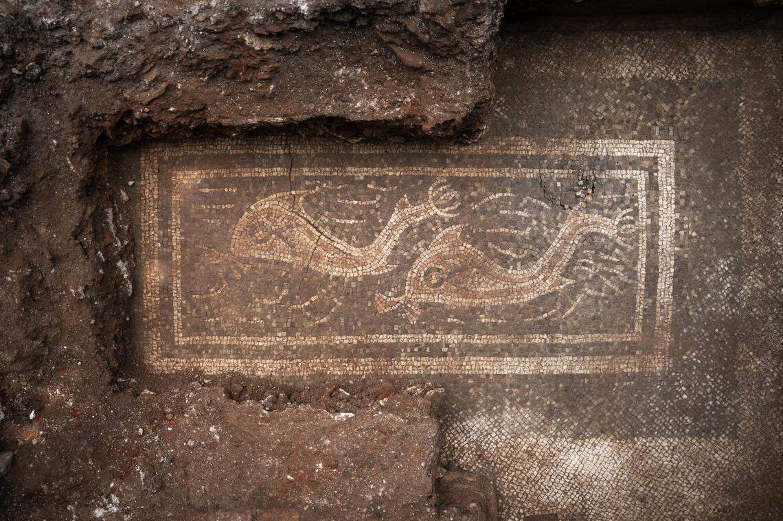 The most interesting finding, officials said, was a mosaic depicting dolphins.