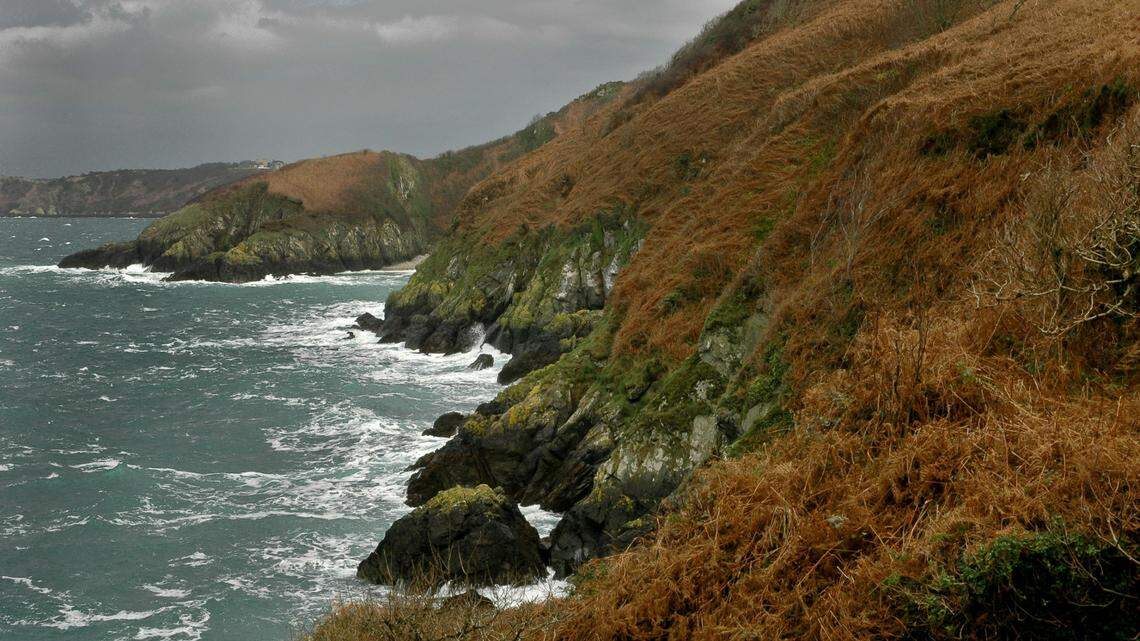 A photographer in the Channel Islands — an archipelago in the English Channel — recently captured footage of a rare, “secretive” bird.