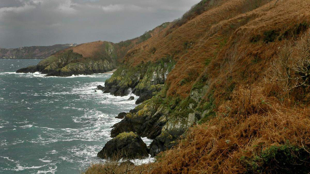 A photographer in the Channel Islands — an archipelago in the English Channel — recently captured footage of a rare, “secretive” bird.