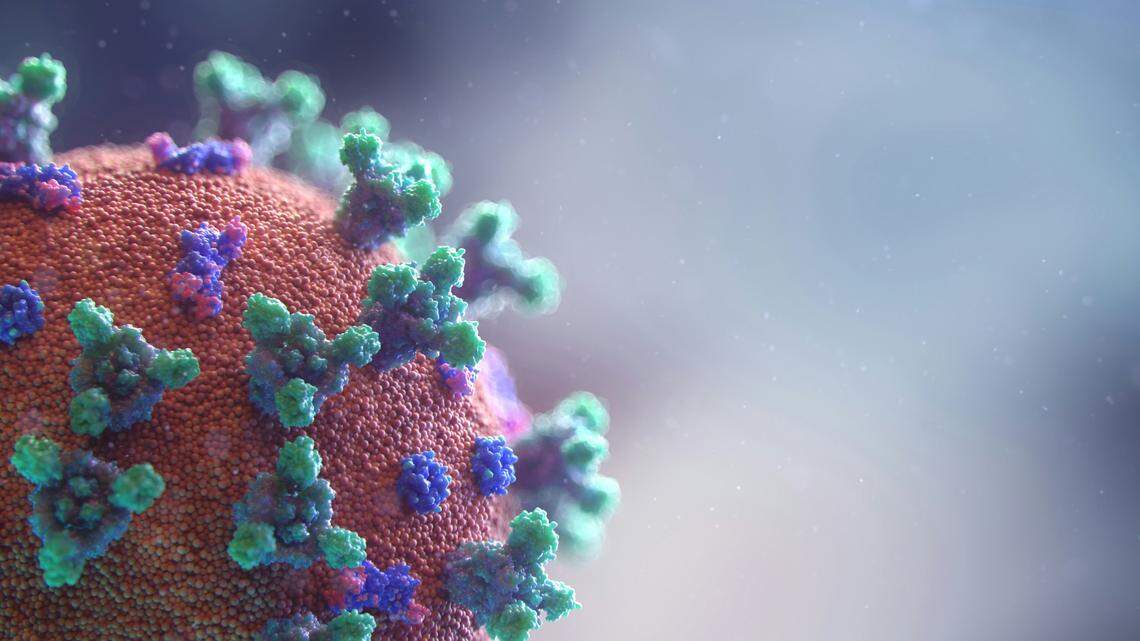 New research confirms that COVID-19 virus can stay in the body long after infection.