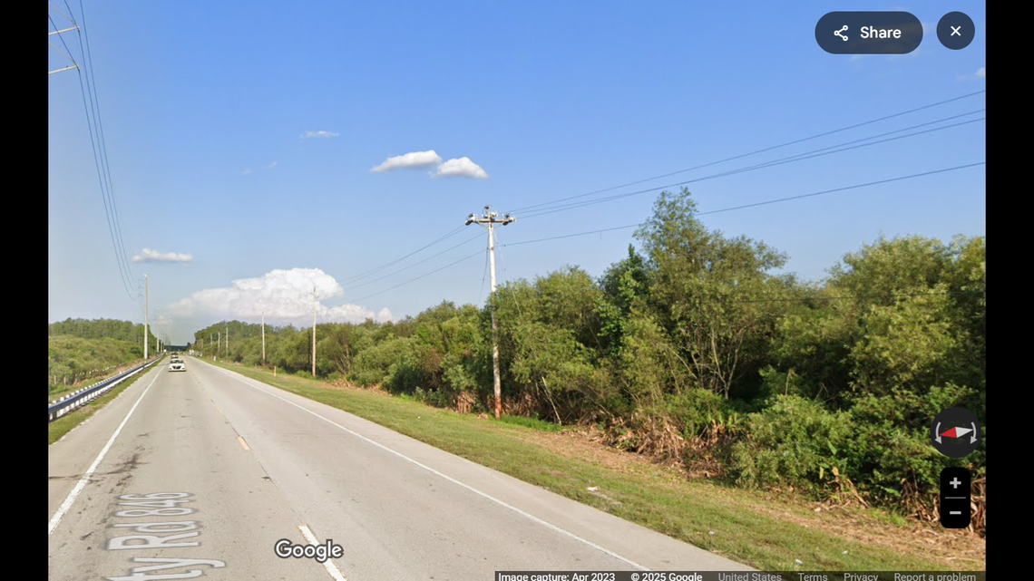 A 1-year-old Florida panther was found dead in rural Collier County on Jan. 10, the first fatality of the new year.