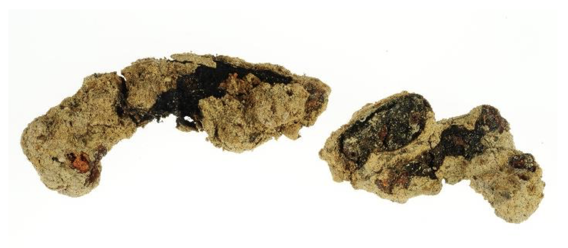 The remains were identified with an X-ray, officials said.