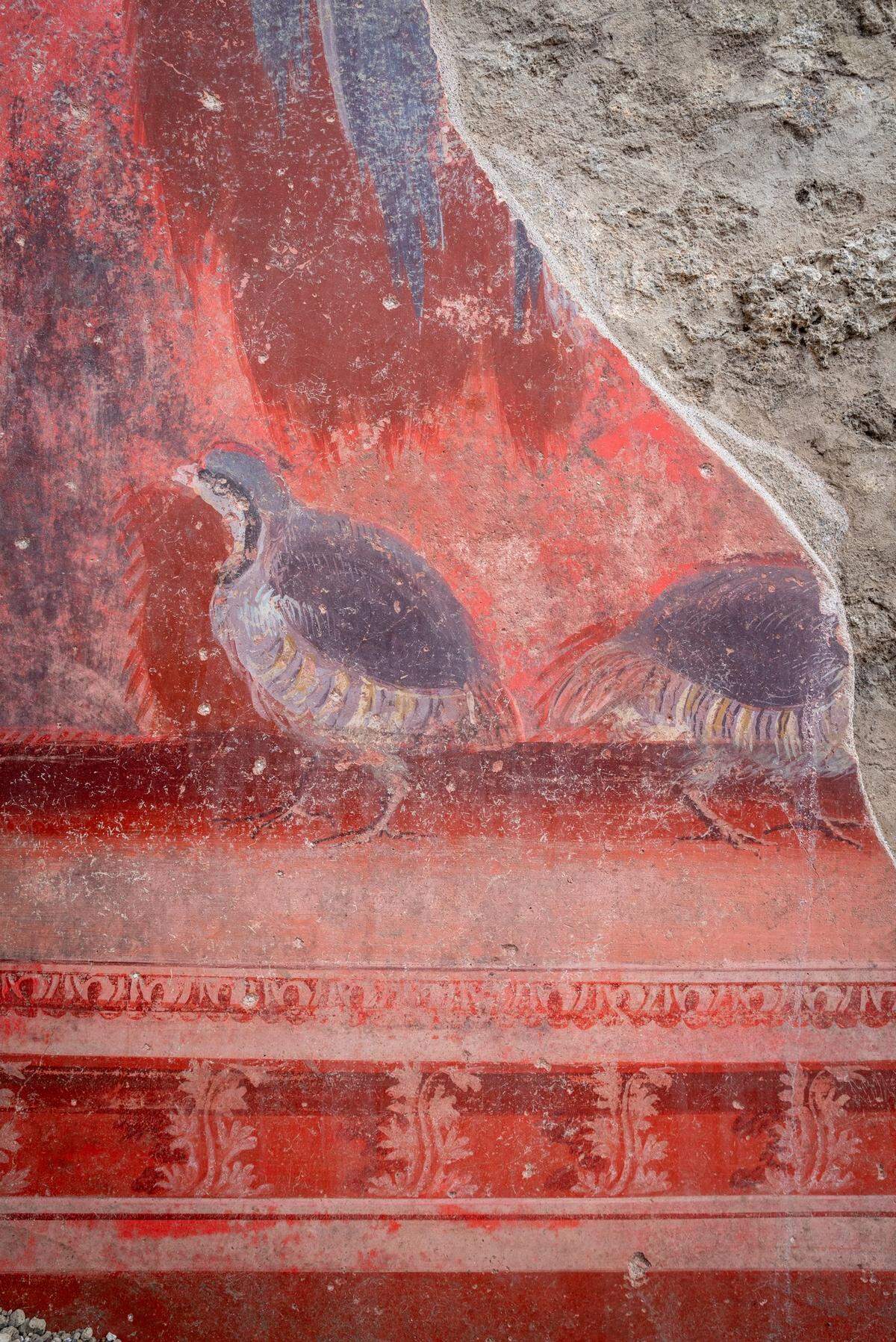 Depictions of birds