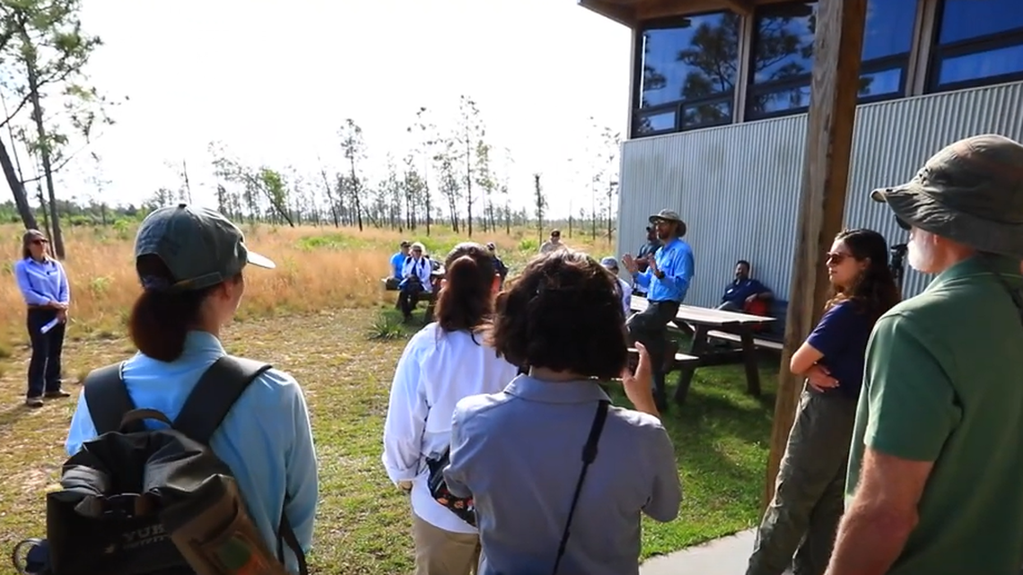 Conservationists have been working to reintroduce the eastern indigo snake to a nature preserve in northwest Florida, where the creatures play a “vital role” in balancing the ecosystem. Wildlife experts released 41 of the snakes on April 30.