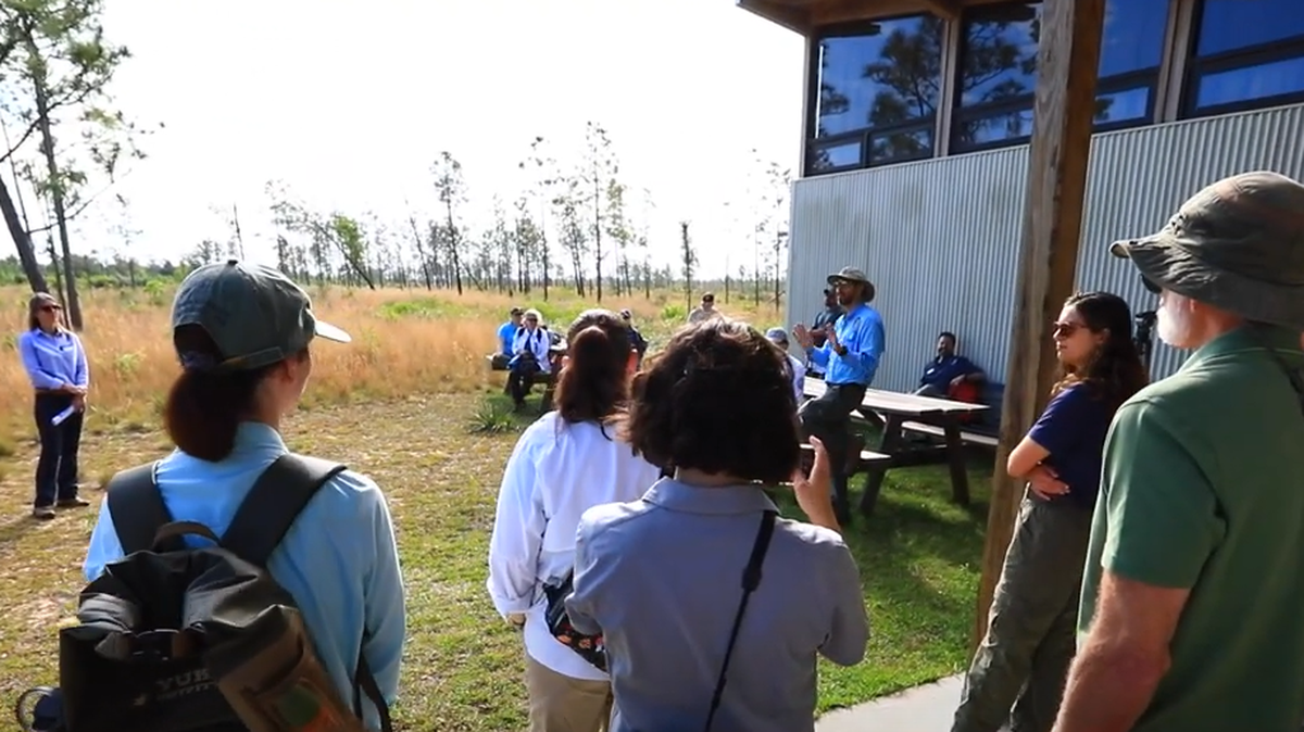 Conservationists have been working to reintroduce the eastern indigo snake to a nature preserve in northwest Florida, where the creatures play a “vital role” in balancing the ecosystem. Wildlife experts released 41 of the snakes on April 30.