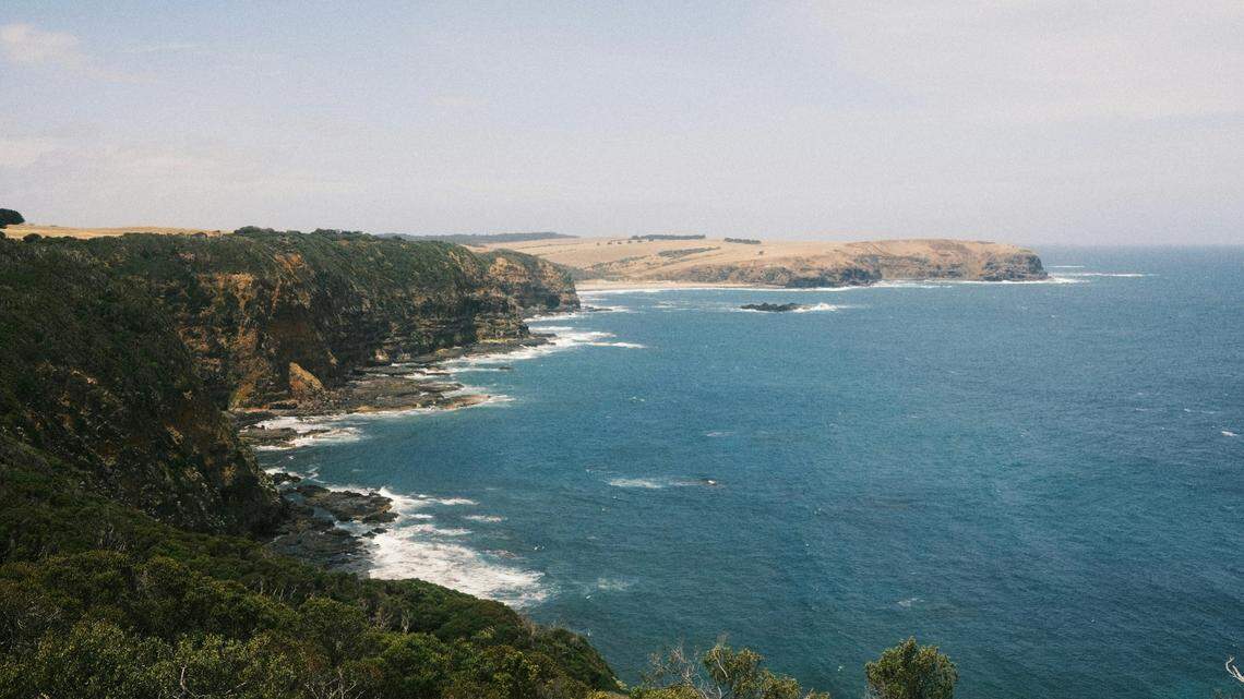 A “rare” white whale calf was recently spotted off the coast of New South Wales, Australia, video footage shows.