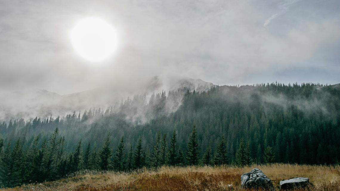 2,000-year-old Celtic artifacts, including weapons, were recently found in a lake in Poland, officials said.