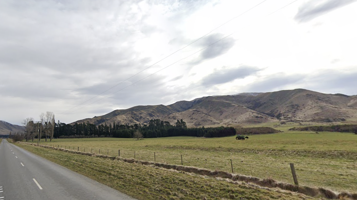 A farmer in New Zealand recently stumbled upon a new population of a rare species of weevil, conservation officials said.