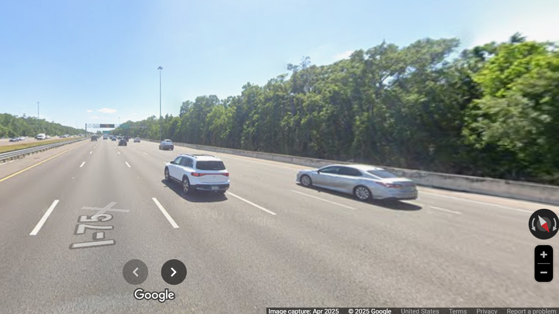 A young male Florida panther was killed by a vehicle on Interstate 75 in the Tampa Bay area, according to the Florida Fish and Wildlife Conservation Commission.