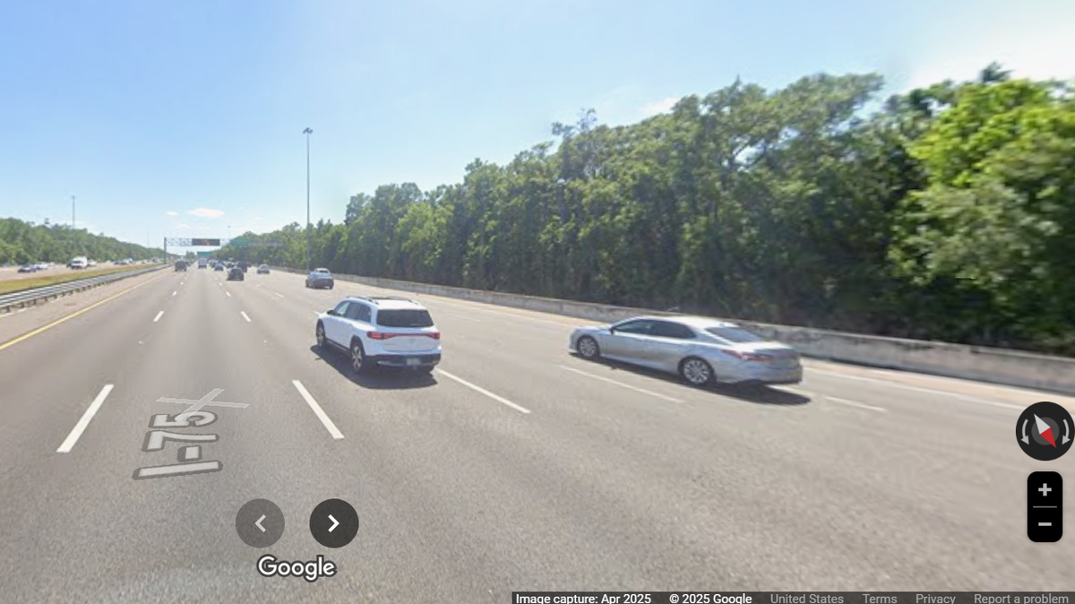 A young male Florida panther was killed by a vehicle on Interstate 75 in the Tampa Bay area, according to the Florida Fish and Wildlife Conservation Commission.