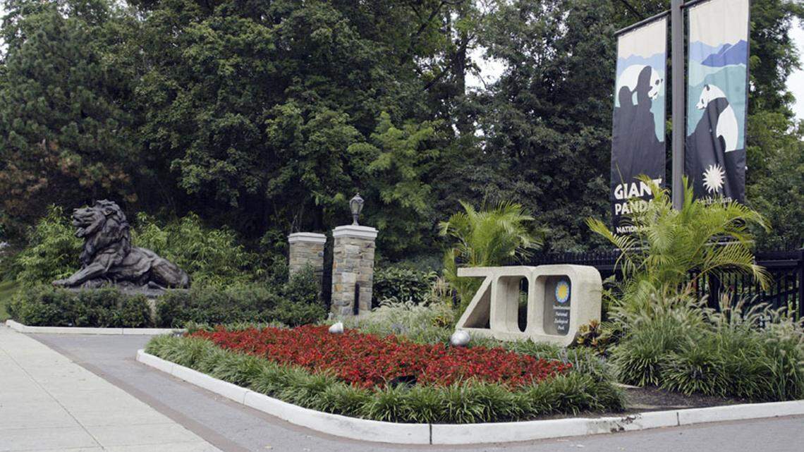 The birth of two endangered primates on March 21 was a triumph for Smithsonian staff.