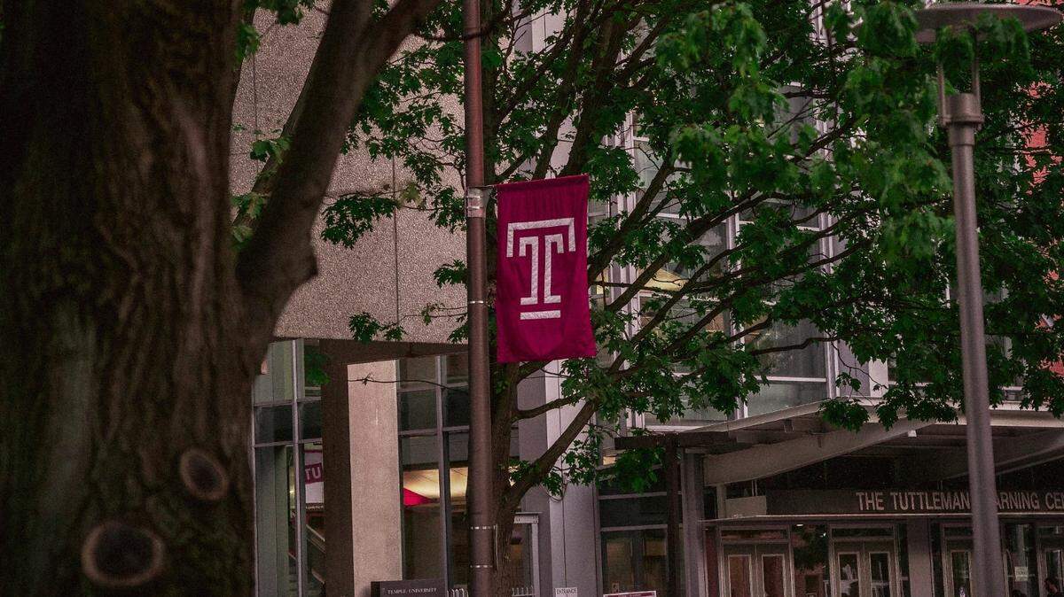 A third-year nursing student at Temple University was killed in a domestic incident near campus, school officials say.