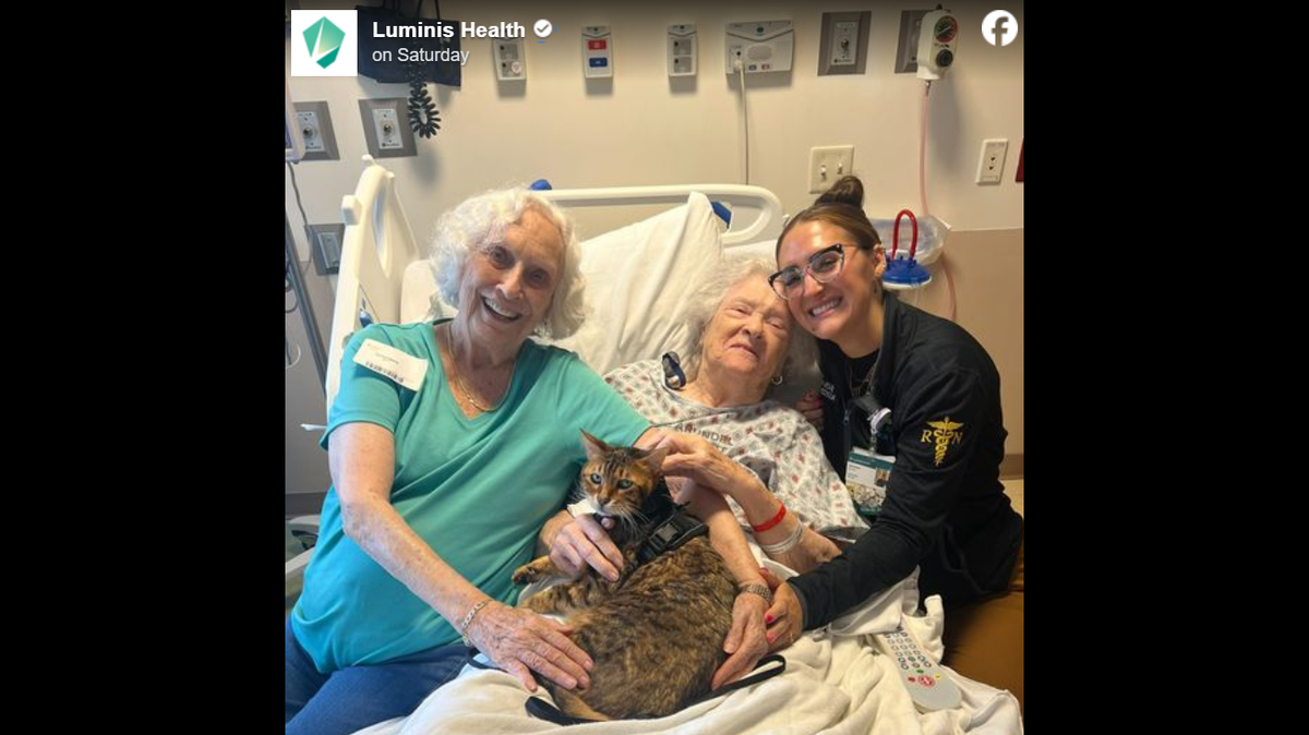 A 17-year-old cat was reunited with his former owner 10 years after a nurse adopted him from the couple during a hospital stay, the Maryland medical center said.