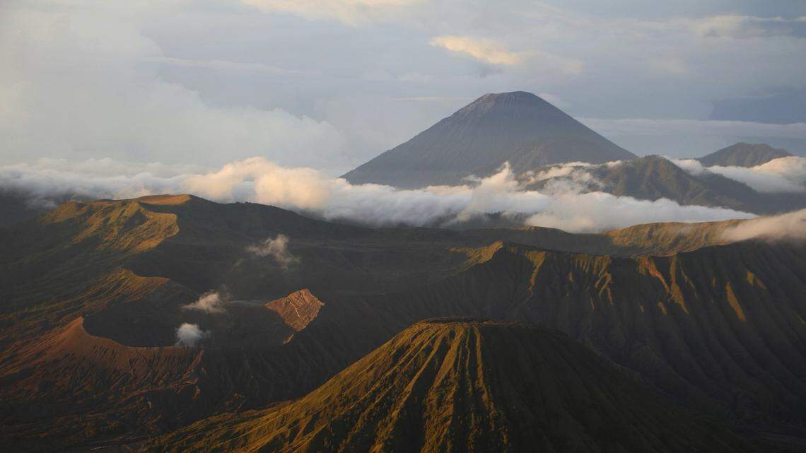 The Javan tiger was declared extinct in 2008, but new evidence indicates it may not be extinct after all.