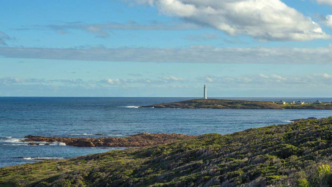 A humpback whale tangled in buoys and rope was rescued off the coast of Australia during a “delicate operation,” video shows.