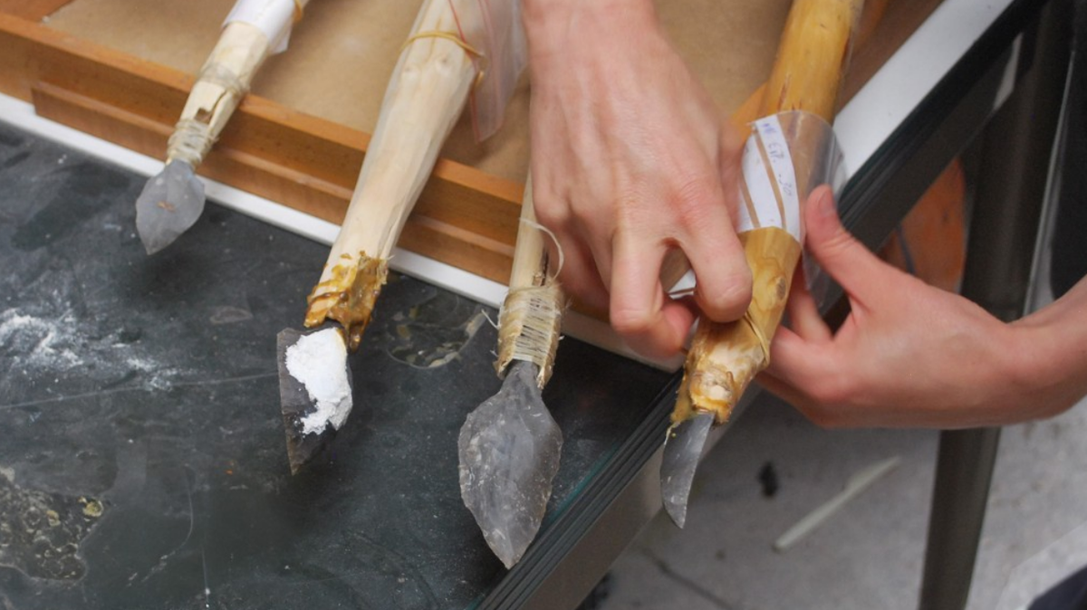 Humans were using long-range weapons 31,000 years ago, a new study reveals.