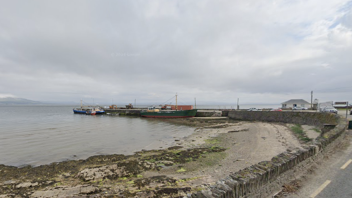 Two stranded dolphins were recently rescued from an estuary in Northern Ireland, photos show.