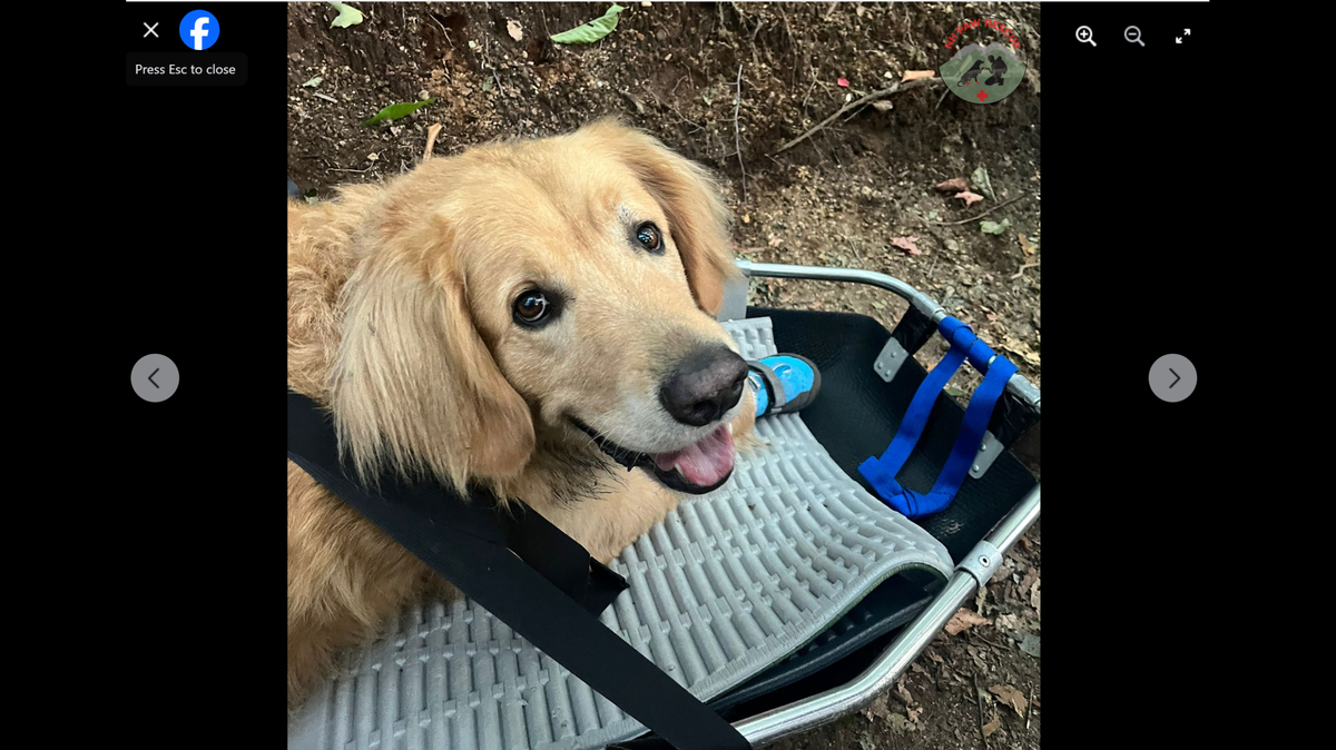 Crosby stopped walking about 6 miles into hike, rescuers said.