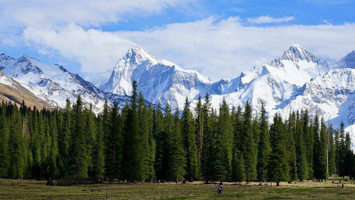 A small reptile was rediscovered in China after it had not been reported for over 100 years, according to a new study.