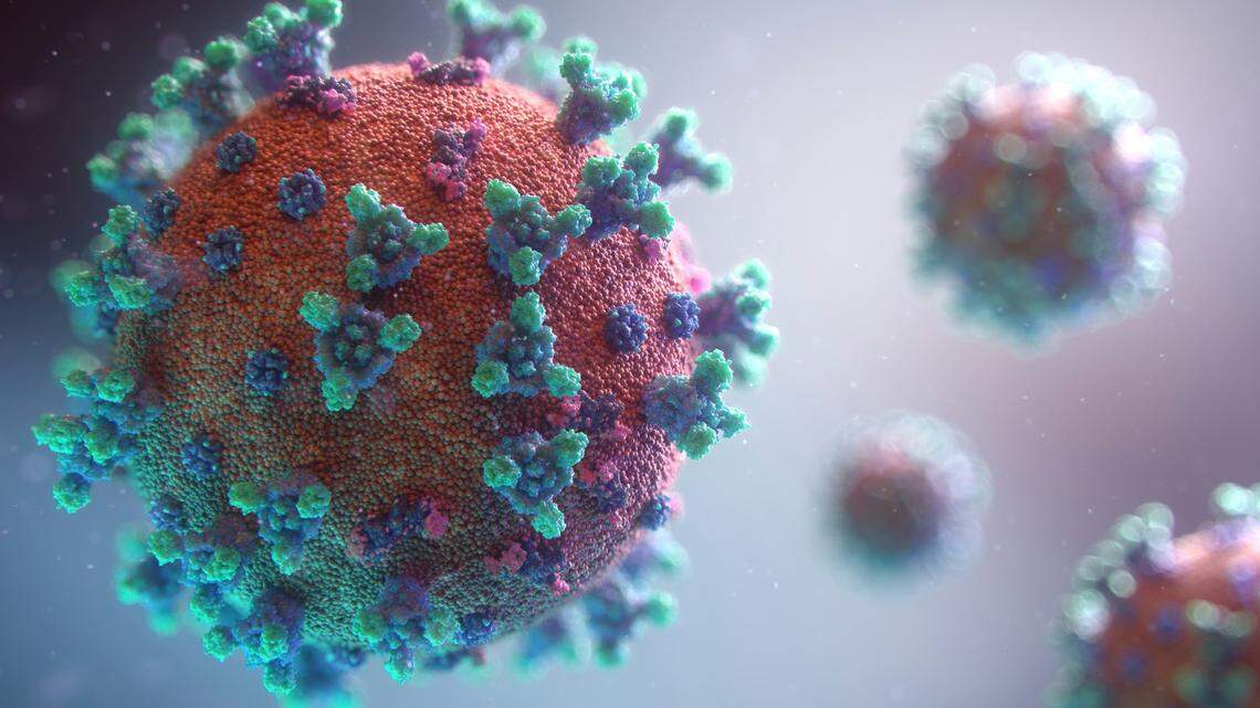 Most Americans think it is somewhat or very likely that there will be a “widespread outbreak” of a new disease in the next decade, according to a new poll.