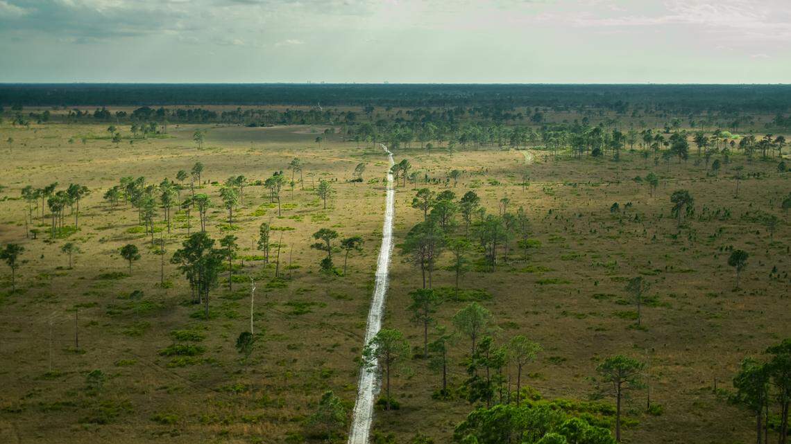 A 12-year-old girl survived an attack at the Cecil M. Webb Wildlife Management Area in southwest Florida, deputies said.