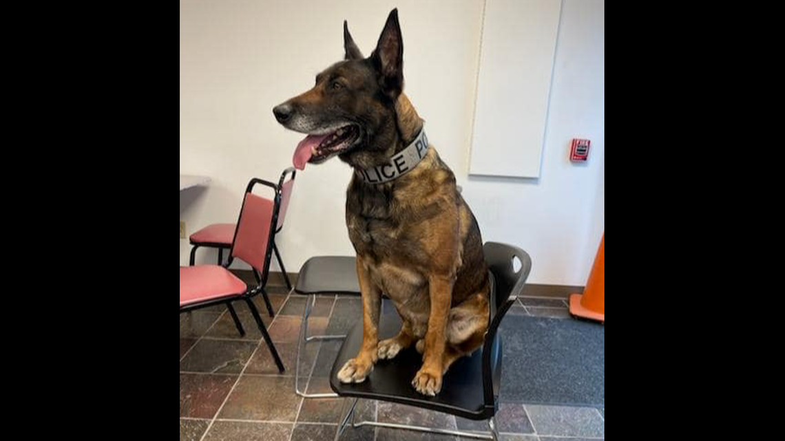 K9 Eli with the Elizabeth Township Police Department suddenly died Wednesday, May 15.