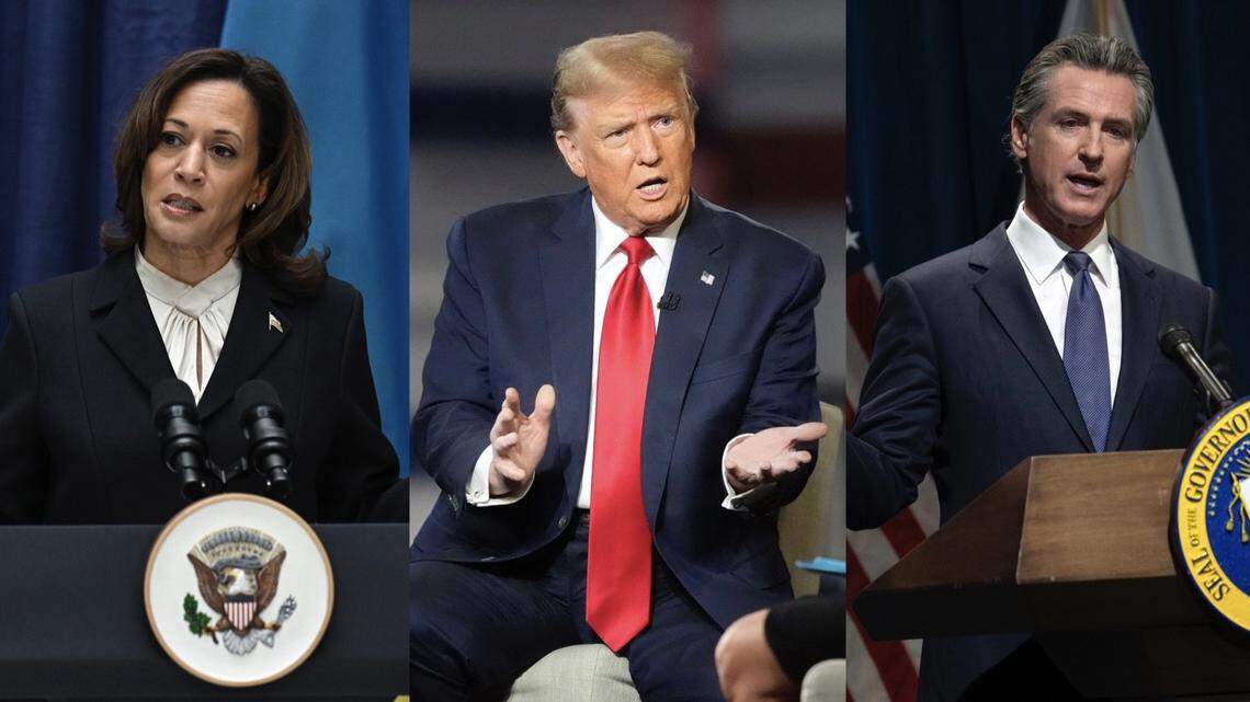 How would former President Donald Trump fare in a contest against Vice President Kamala Harris and Gov. Gavin Newsom? A new poll offers answers.