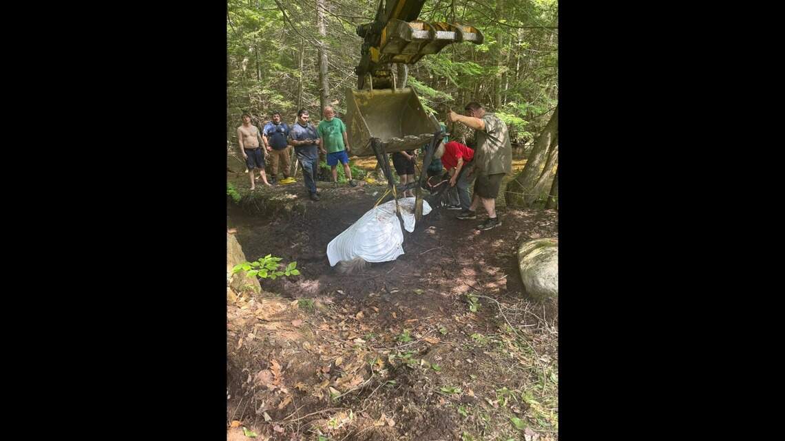 1,100-pound horse rescued from mudhole in Maine: rescuers | Miami Herald