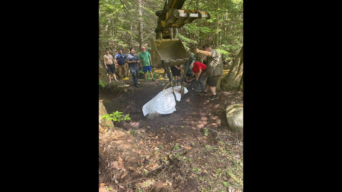 Teams used a lift to pull the horse out of the mudhole, Maine rescuers said.