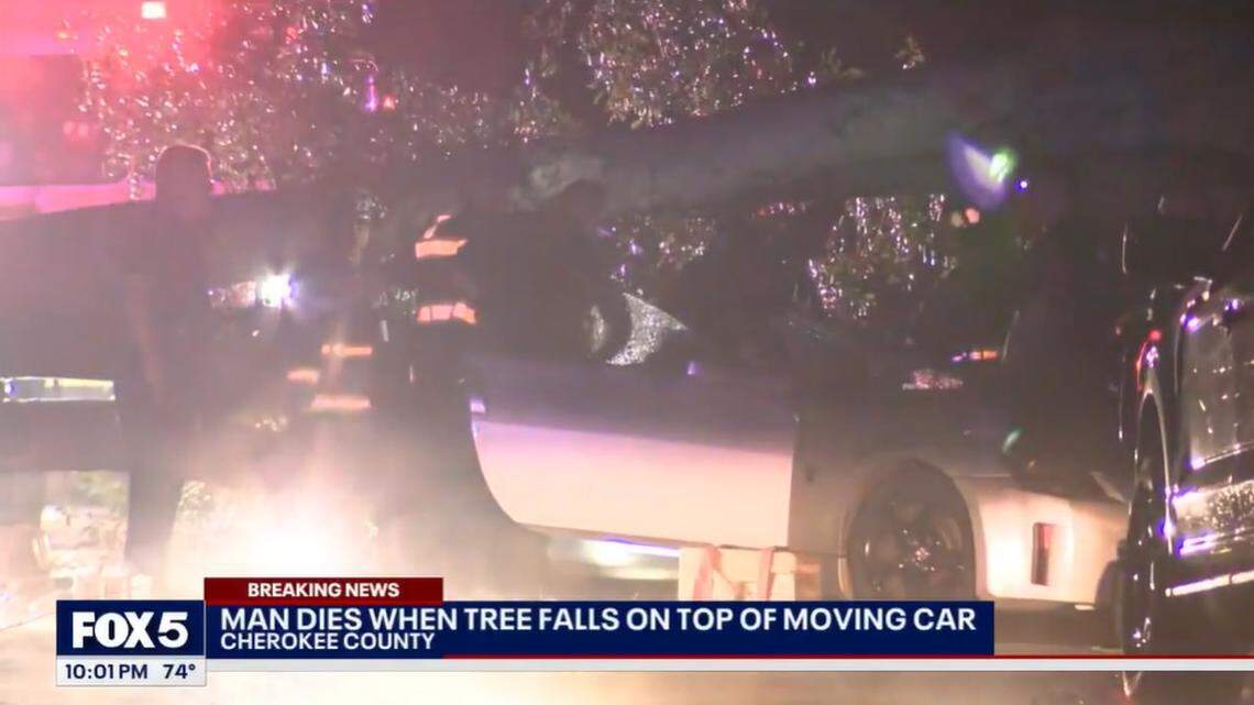A driver was killed when a tree fell onto his moving car during heavy storms in Cherokee County, Georgia, deputies said.