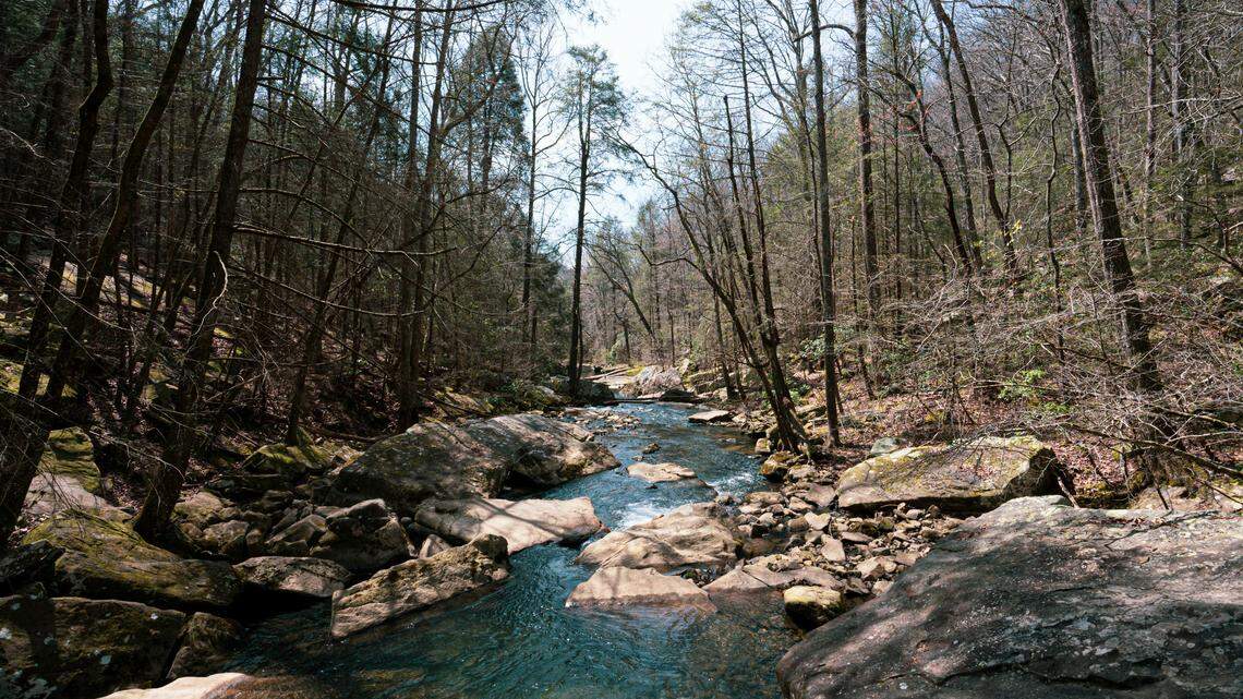 A man was hiking in eastern Tennessee when he was bitten by a rattlesnake and later died, first responders said.