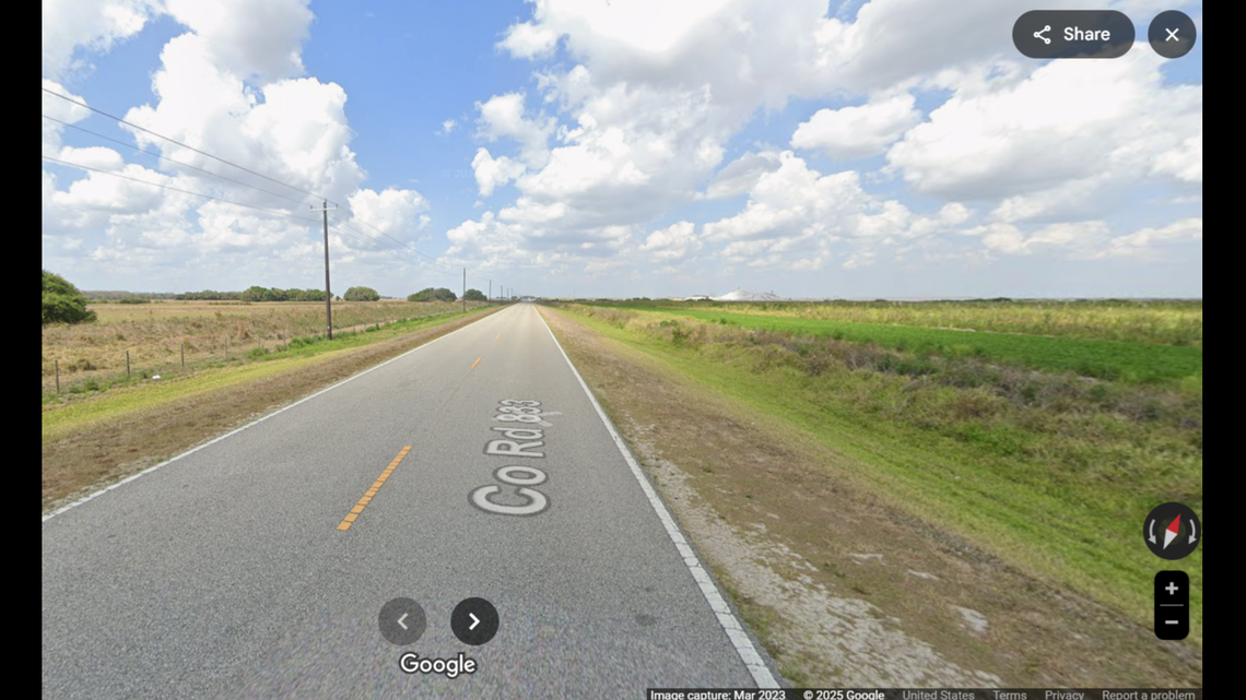 A 10-year-old Florida panther was hit and killed by a vehicle in Hendry County, Florida.