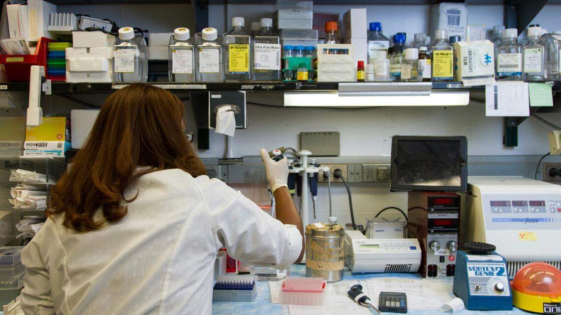 In a Nature poll of U.S.-based scientists, 75% of respondents said they were considering leaving the country following “disruptions to science prompted by the Trump administration.”