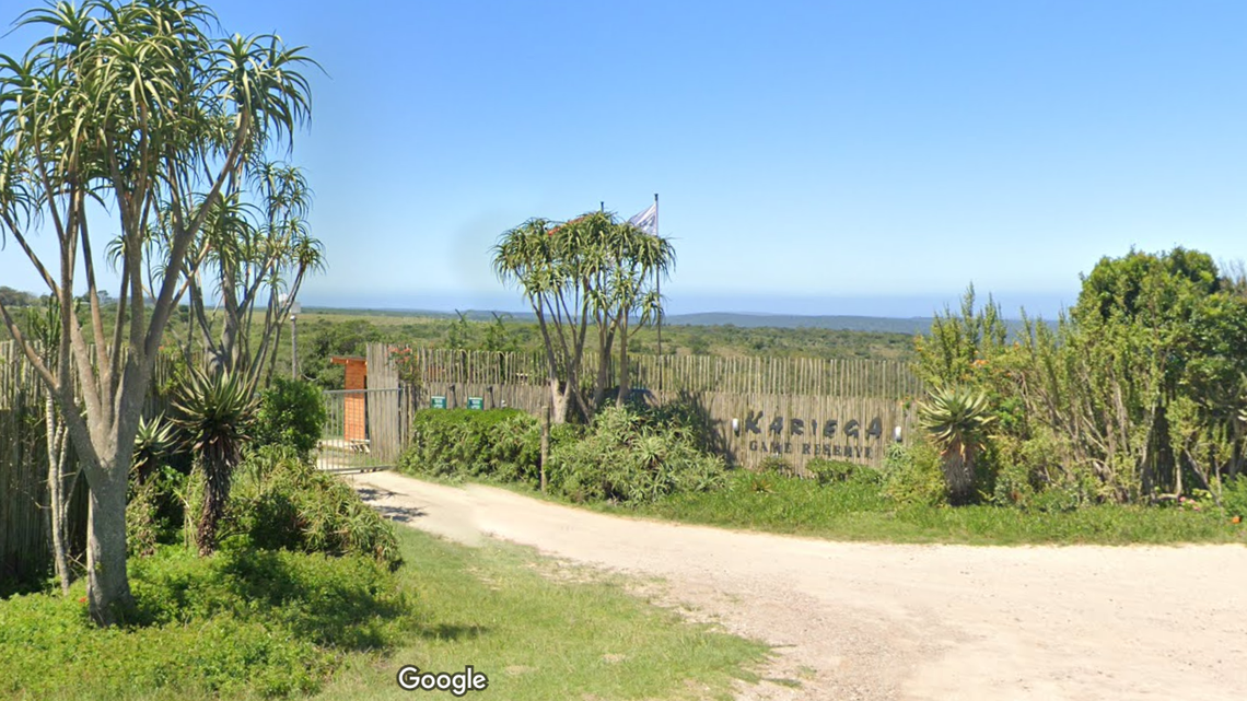 A female cheetah and two cubs were seen swimming across a river in South Africa, video shows.