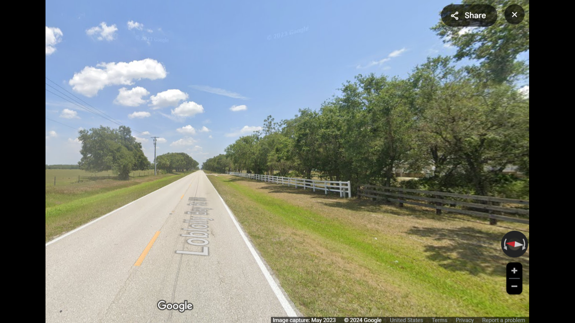 Two endangered Florida panthers have died in the span of one week from vehicle strikes, according to the Florida Fish and Wildlife Conservation Commission.