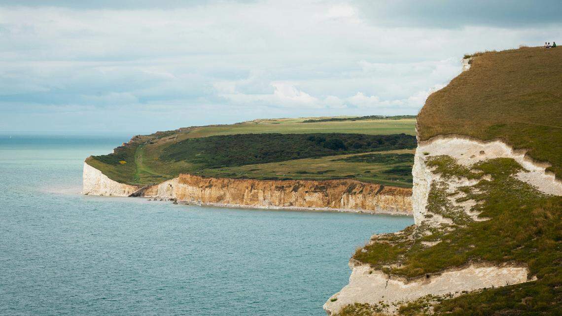 A “rare” humpback whale was recently spotted in the English Channel, photos show.