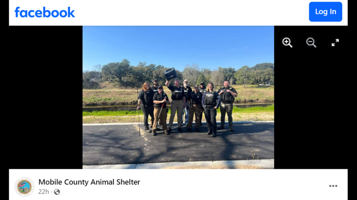 A dog with a box stuck on its head evaded animal rescuers for nearly a year in Alabama until a team was finally able to free it.