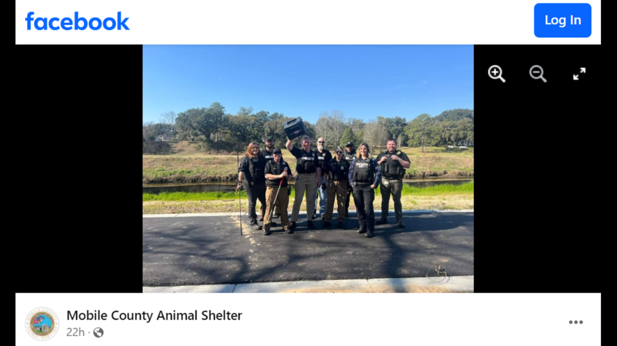 A dog with a box stuck on its head evaded animal rescuers for nearly a year in Alabama until a team was finally able to free it.