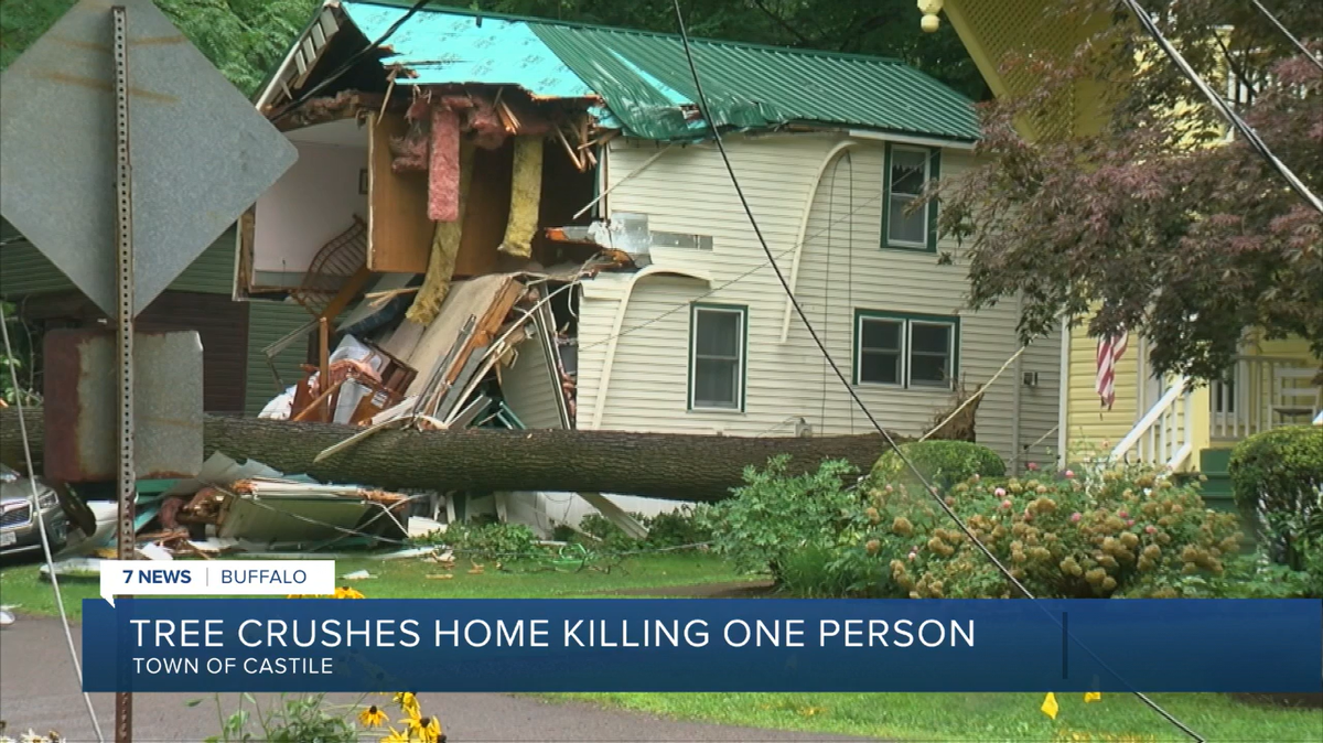A tree fell on a Town of Castile home as a couple prepped their car to leave, officials say.