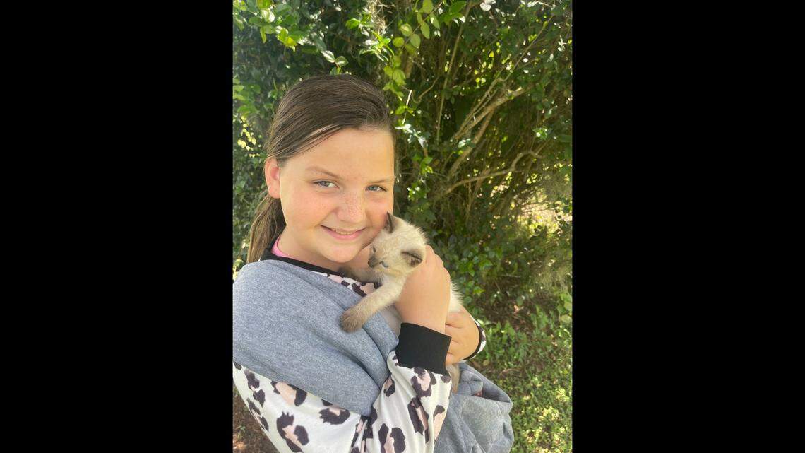 Abbott’s daughter was at the courthouse after the kitten was rescued, and she begged to take the cat home, Abbott said. Now they have a new family pet.