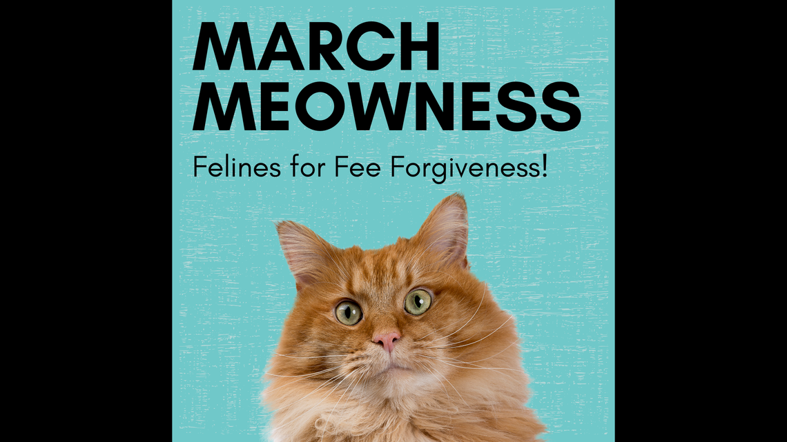 The Worcester Public Library says it will waive outstanding fees in exchange for cat pictures.