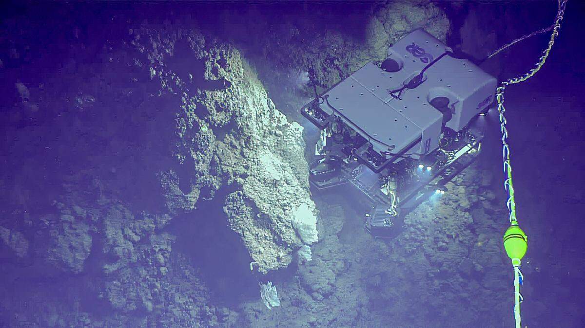 A NOAA Ocean Exploration team was exploring the seafloor 2 miles deep when they spotted a golden “egg” off the coast of Alaska.