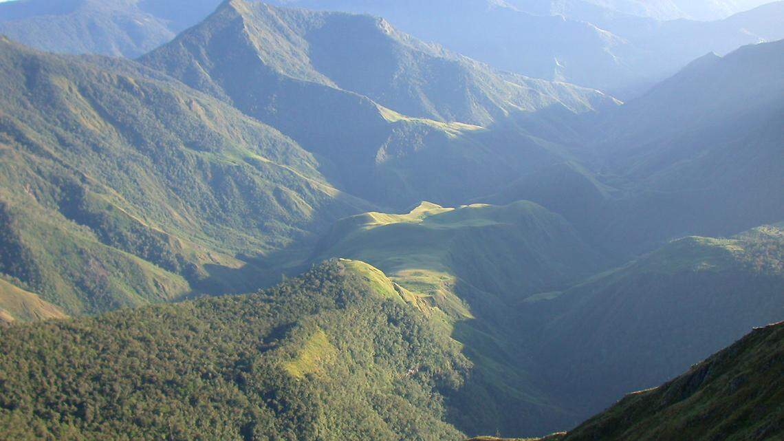 Scientists discovered a new species of carnivorous land snail resembling “flying saucers” in Papua New Guinea, according to a new study.