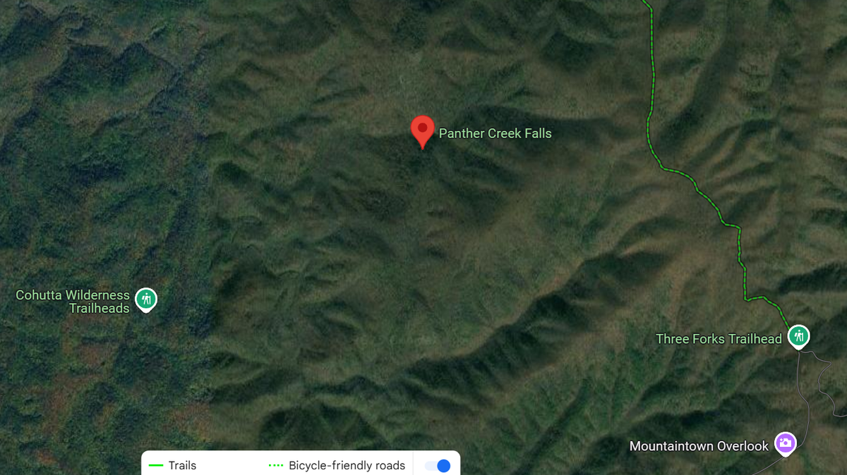 A man died from his injuries after a tree fell on him while he camped near Panther Creek Falls in Georgia, officials said.