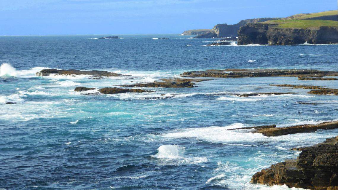 A common dolphin was saved from stranding on the coast of Ireland thanks to “an incredible community response,” according to a conservation group.